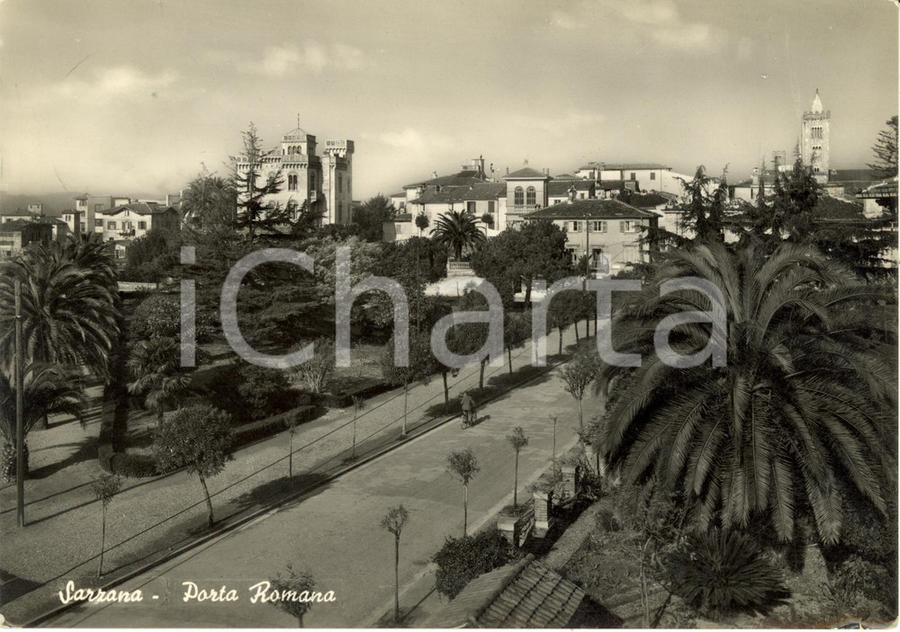 Cartolina originale da collezione 1952 SARZANA (SP) Scorcio su viale MAZZINI da Porta ROMANA *Cartolina FG VG 1