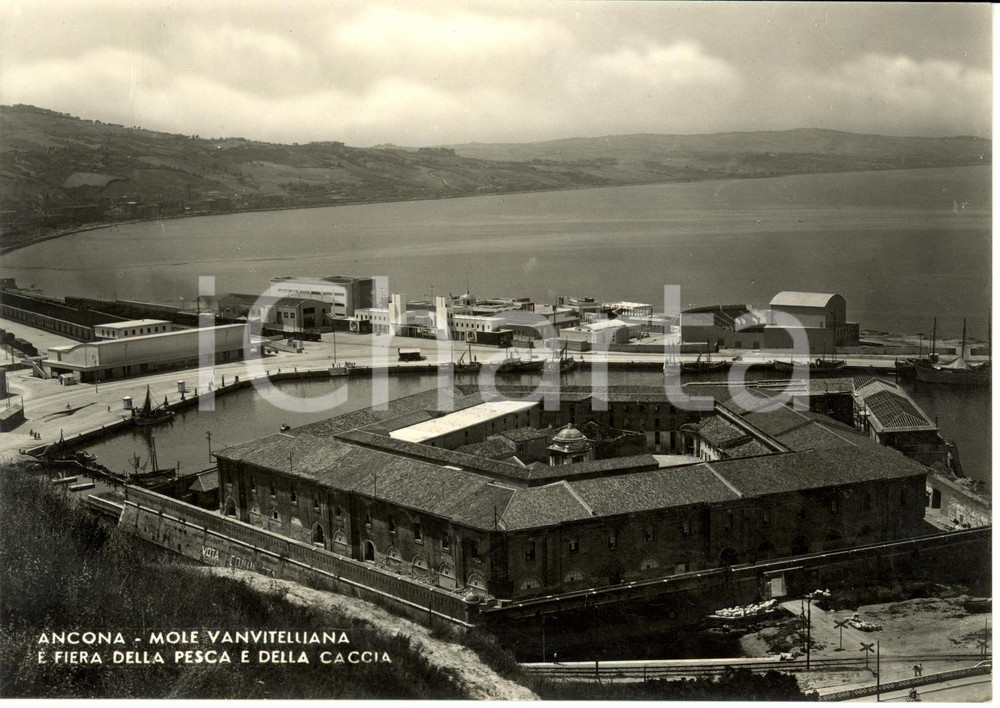 Cartolina originale da collezione 1950 ca ANCONA Mole VANVITELLIANA e Fiera della pesca e della caccia FG NV 1