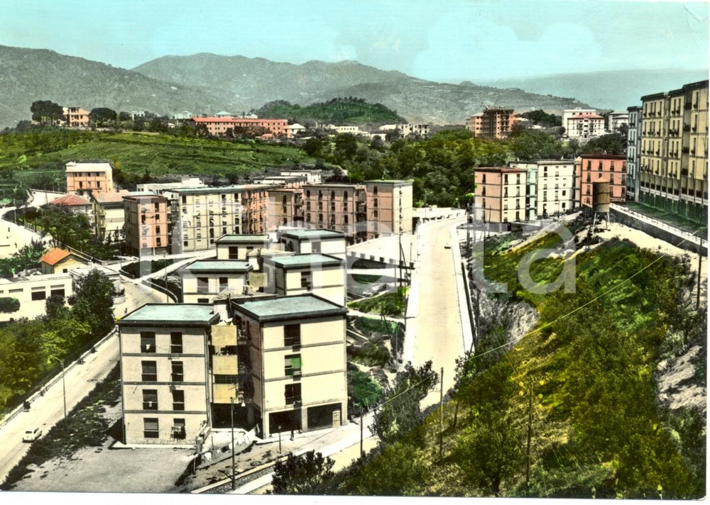 Cartolina originale da collezione 1965 CATANZARO Viale SAN PIO X nel rione PONTEPICCOLO * Cartolina ANIMATA FG VG 1