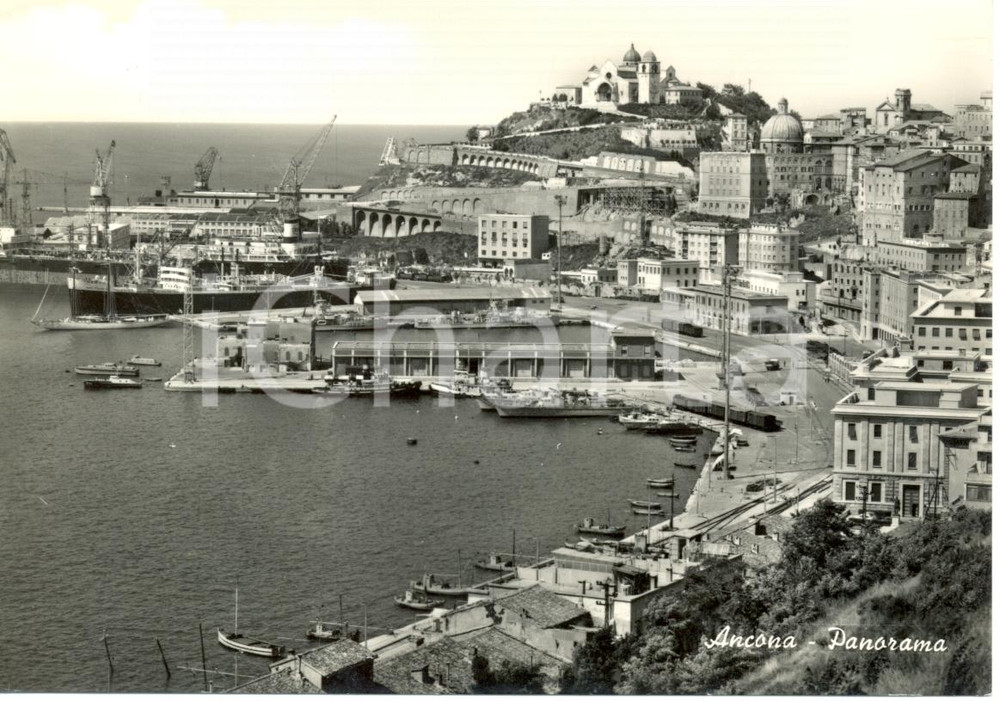 Cartolina originale da collezione 1950 ca ANCONA Veduta panoramica della cittÃ  e del porto Cartolina FG NV 1