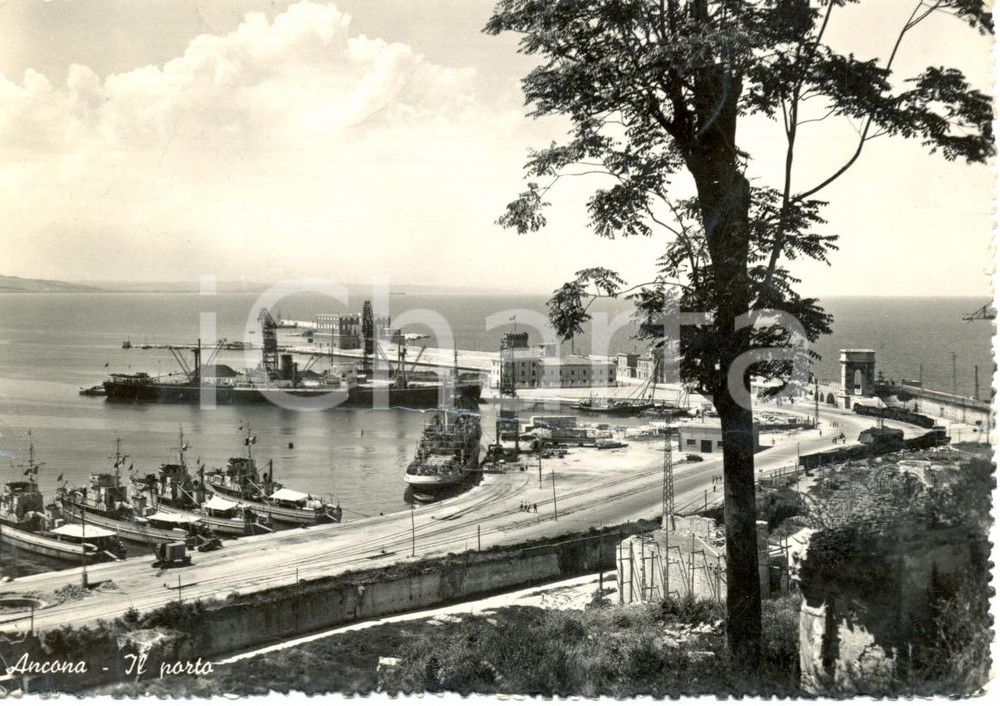 Cartolina originale da collezione 1952 ANCONA Veduta del porto in attivitÃ  con mare su sfondo *Cartolina FG VG 1