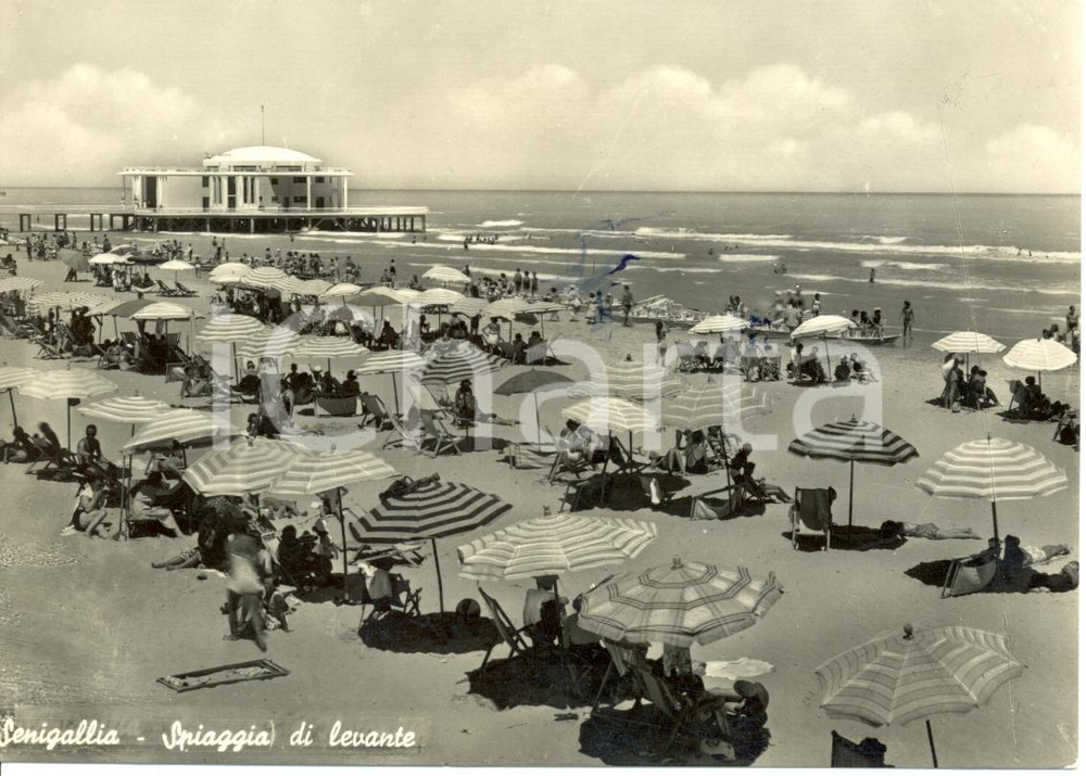 Cartolina originale da collezione 1956 SENIGALLIA (AN) Spiaggia di Levante con la rotonda *Cartolina ANIMATA FG VG 1