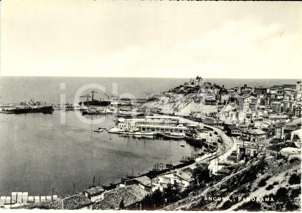 Cartolina originale da collezione 1960 ca ANCONA Veduta panoramica del porto e litorale cittadino Cartolina FG NV 1