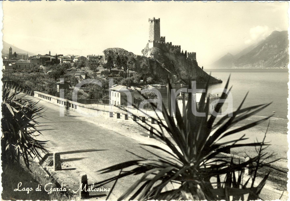 Cartolina originale da collezione 1951 MALCESINE VR Scorcio lago GARDA con castello scaligero  Cartolina FG VG 1