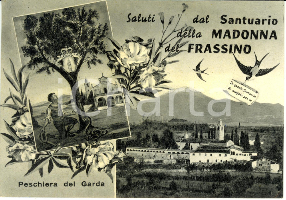 Cartolina originale da collezione 1959 PESCHIERA DEL GARDA VR Il santuario della MADONNA del FRASSINO  FG VG 1