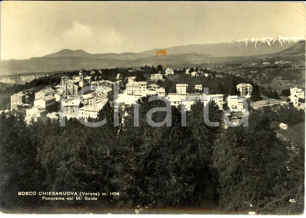 Cartolina originale da collezione 1951 BOSCO CHIESANUOVA (VR) Panorama del paese con monte BALDO *Cartolina FG VG 1