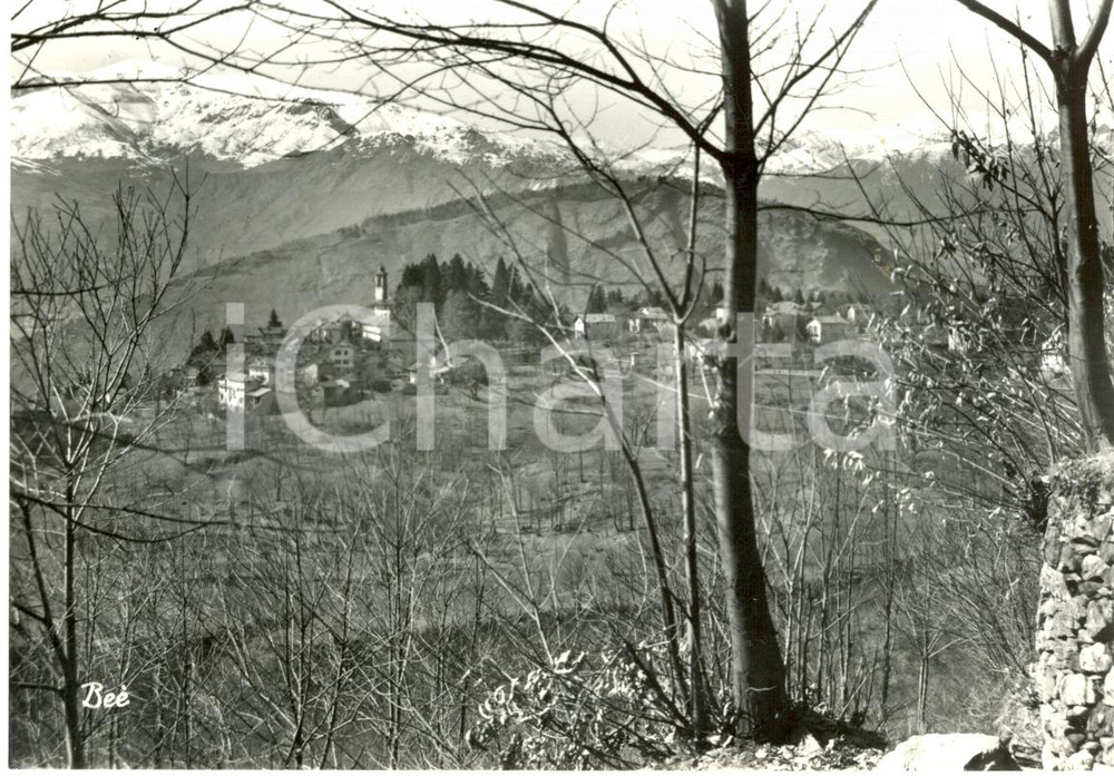Cartolina originale da collezione 1955 BEE' (VB) Veduta del paese *Cartolina postale FG VG 1