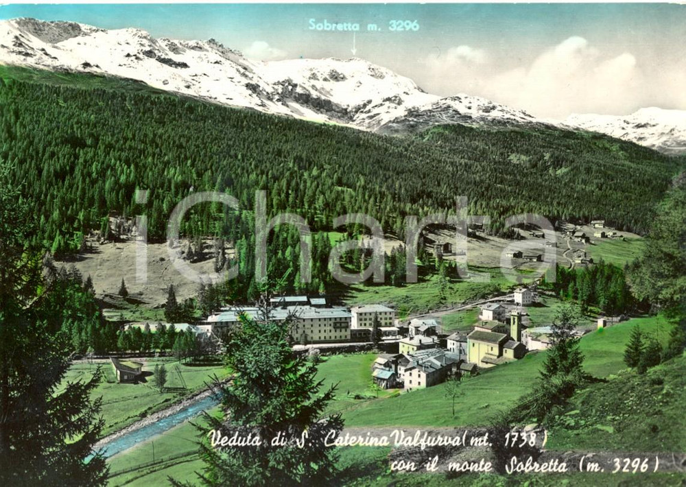 Cartolina originale da collezione 1959 VALFURVA SO Veduta di SANTA CATERINA e del Monte SOBRETTA FG VG 1