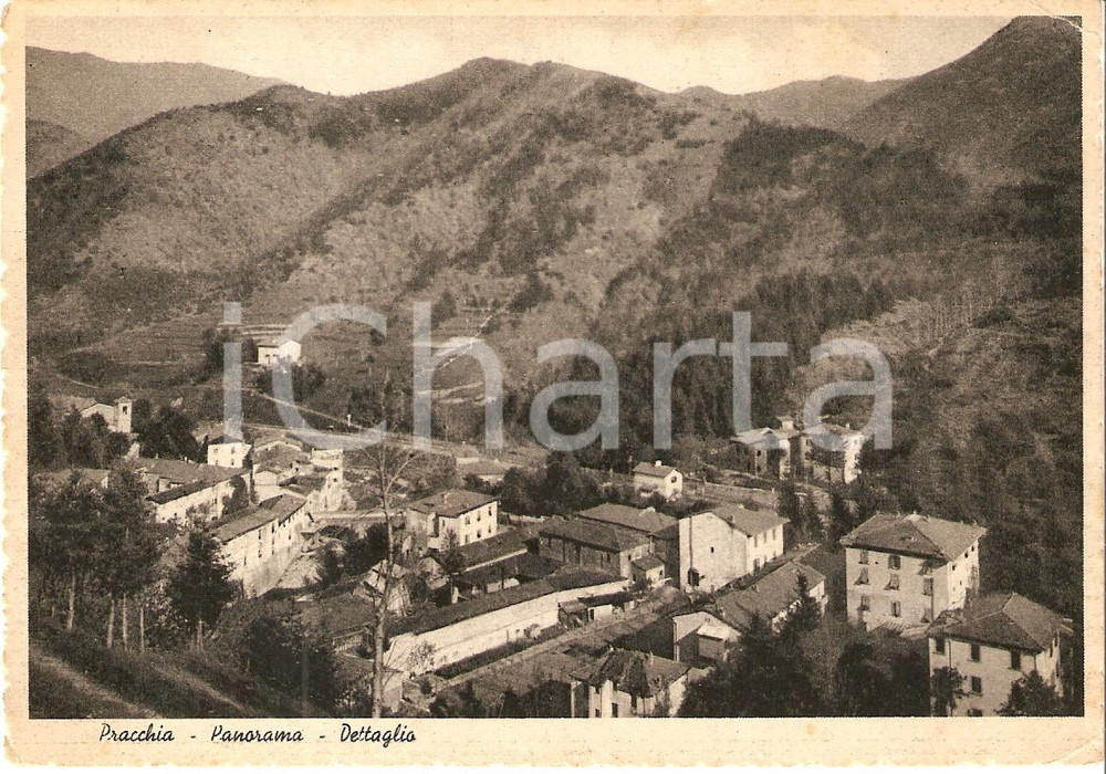 Cartolina originale da collezione 1950 PISTOIA Frazione PRACCHIA Panorama *Cartolina FG VG 1