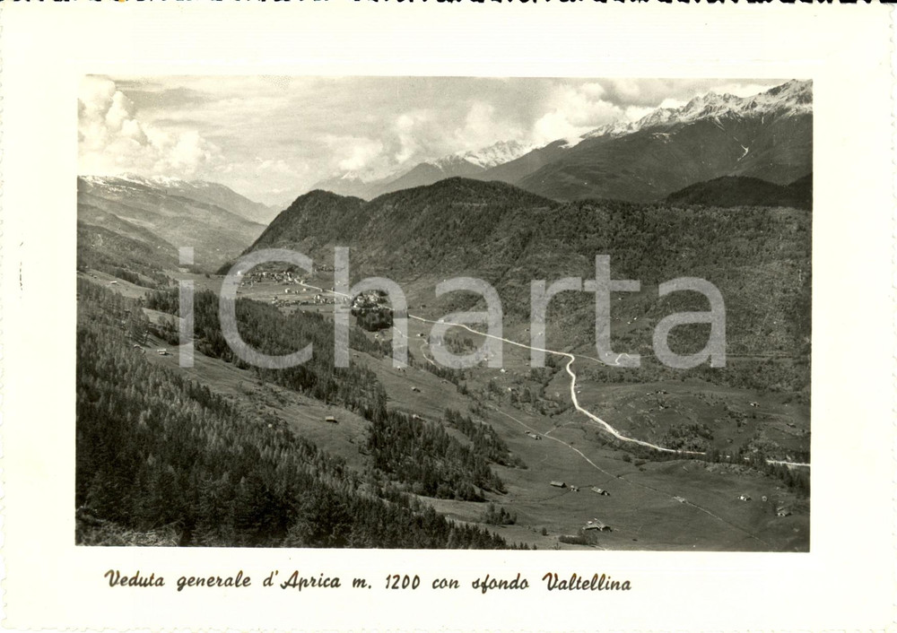 Cartolina originale da collezione 1950 APRICA (SO) Veduta panoramica con sfondo VALTELLINA *Cartolina FG VG 1