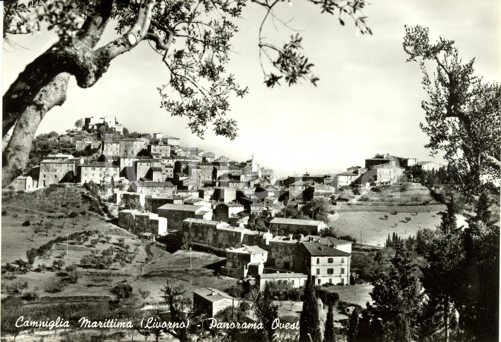 Cartolina originale da collezione 1960 ca CAMPIGLIA MARITTIMA (LI) Panorama dal lato ovest *Cartolina FG NV 1