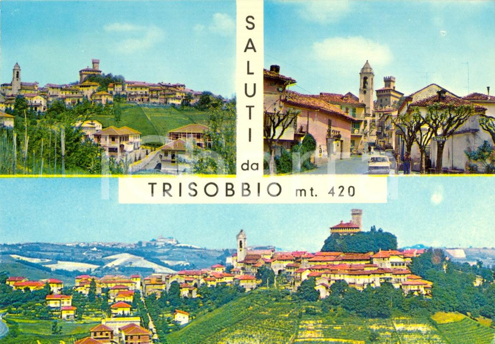 Cartolina originale da collezione 1972 TRISOBBIO (AL) Vedutine con Via ROMA e vigneti *Cartolina postale FG VG 1