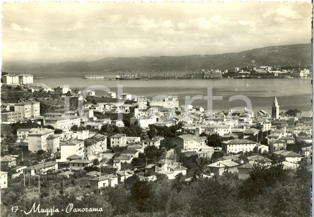 Cartolina originale da collezione 1955 MUGGIA TS Panorama della cittÃ  e del portoCartolina postale FG VG 1