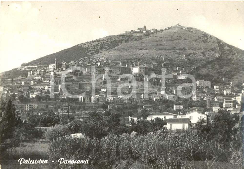 Cartolina originale da collezione 1966 PALESTRINA RM Veduta panoramica del paese Cartolina postale FG VG 1