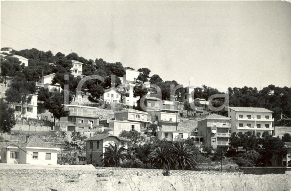 Cartolina originale da collezione 1955 ca ANDORA (SV) Veduta panoramica della Pineta *Cartolina FG VG 1