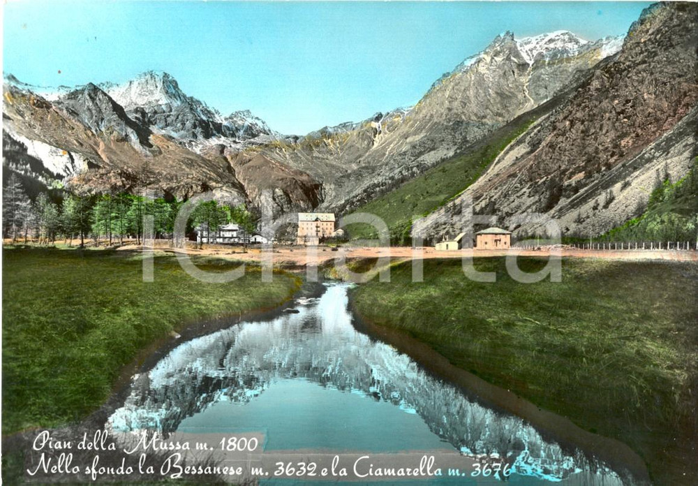 Cartolina originale da collezione 1955 ca BALME (TO) Pian della MUSSA con BESSANESE e CIMARELLA *Cartolina FG VG 1