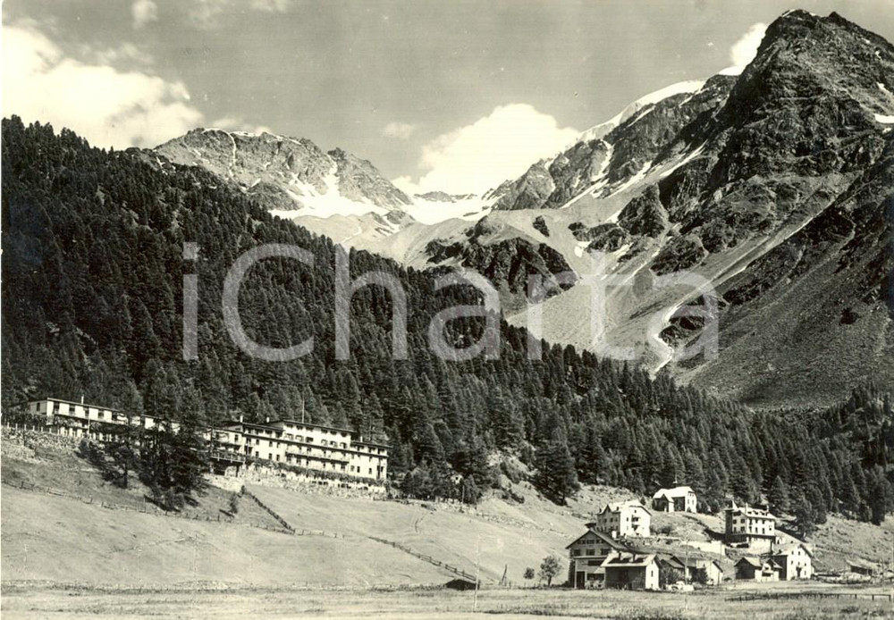 Cartolina originale da collezione 1955 ca STELVIO BZ Veduta del Grand Hotel SULDEN a SOLDA Cartolina FG VG 1