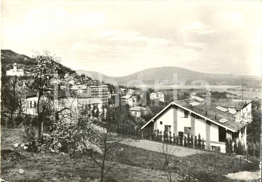 Cartolina originale da collezione 1955 ca COLAZZA (NO) Veduta del paese con il LAGO MAGGIORE *FG VG 1
