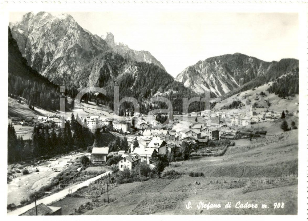 Cartolina originale da collezione 1951 SANTO STEFANO DI CADORE (BL) Panorama della valle *Cartolina postale FG VG 1