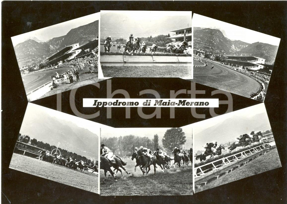 Cartolina originale da collezione 1958 MERANO BZ Vedutine dell IPPODROMO di MAIA BASSA Cartolina postale FG VG 1