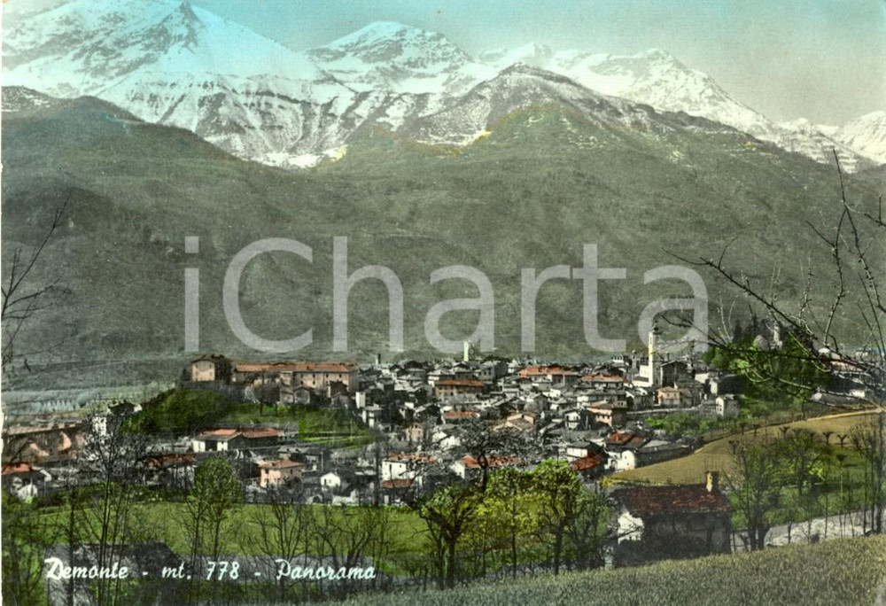 Cartolina originale da collezione 1968 DEMONTE (CN) Veduta panoramica del paese *Cartolina postale FG VG 1