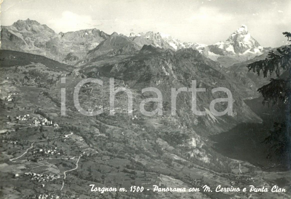Cartolina originale da collezione 1964 TORGNON AO Panorama con il Monte CERVINO e Punta CIAN Cartolina FG VG 1