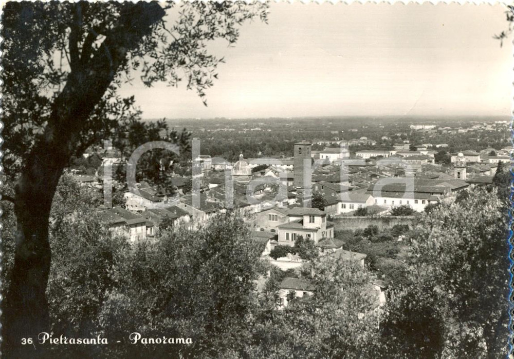 Cartolina originale da collezione 1952 PIETRASANTA LU Veduta  panoramica del paese Cartolina postale FG VG 1