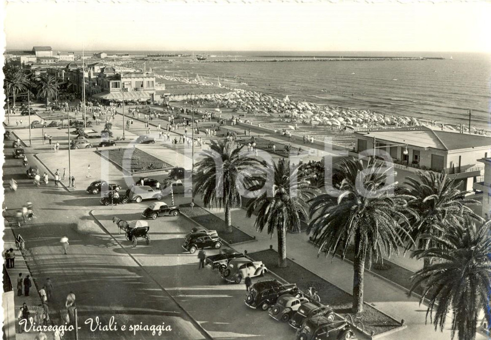 Cartolina originale da collezione 1950 ca VIAREGGIO (LU) Calesse sul lungomare e spiaggia *Cartolina ANIMATA FG NV 1