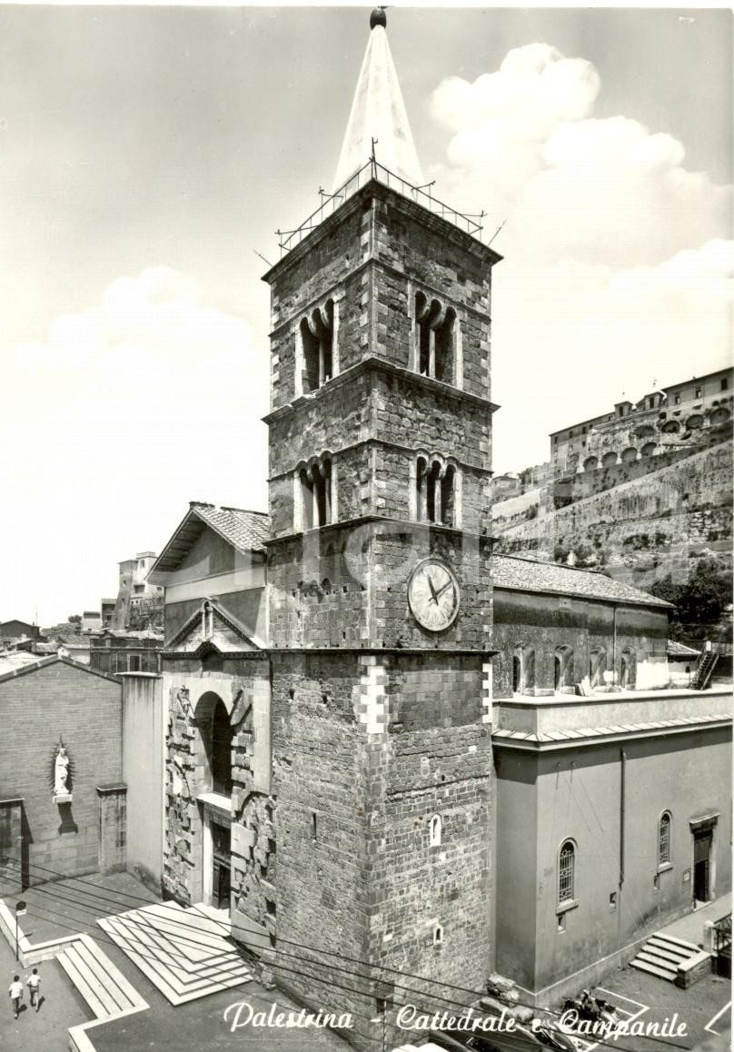 Cartolina originale da collezione 1950 ca PALESTRINA RM Veduta della Cattedrale e del campanile Cartolina FG NV 1