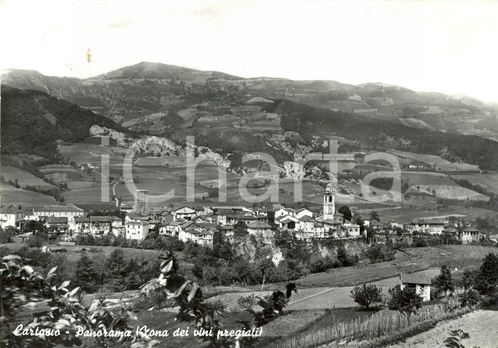 Cartolina originale da collezione 1963 CARTOSIO AL Panorama della zona dei vini pregiati Cartolina FG VG 1