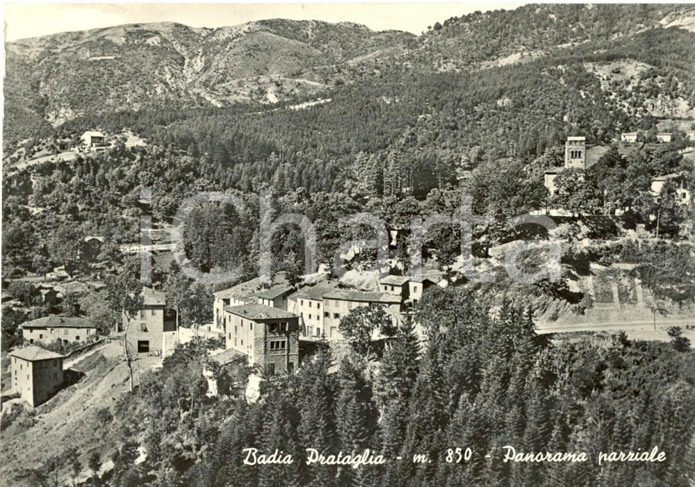 Cartolina originale da collezione 1956 POPPI AR Panorama parziale di BADIA PRATAGLIA Cartolina postale FG VG 1