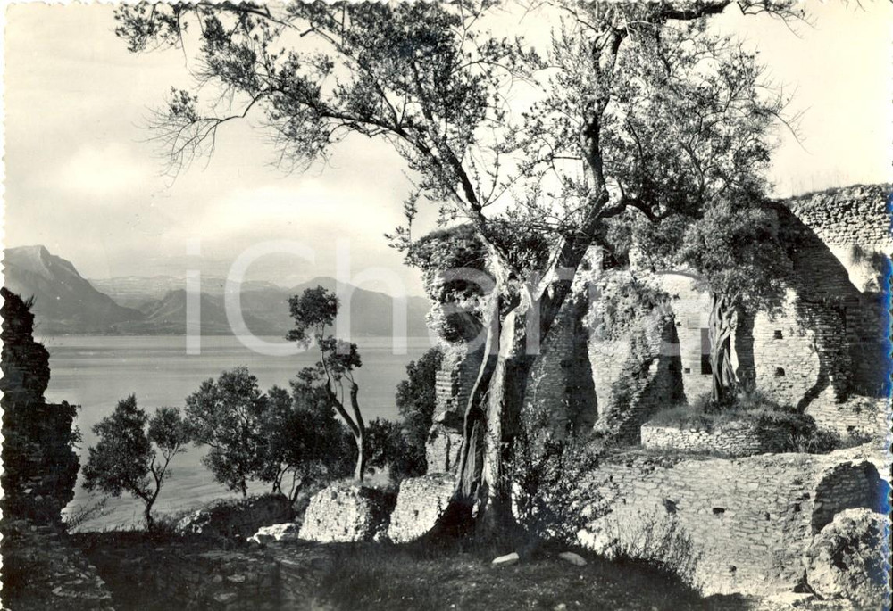 Cartolina originale da collezione 1950 ca SIRMIONE BS Particolare delle Grotte di CATULLO sul Lago FG VG 1