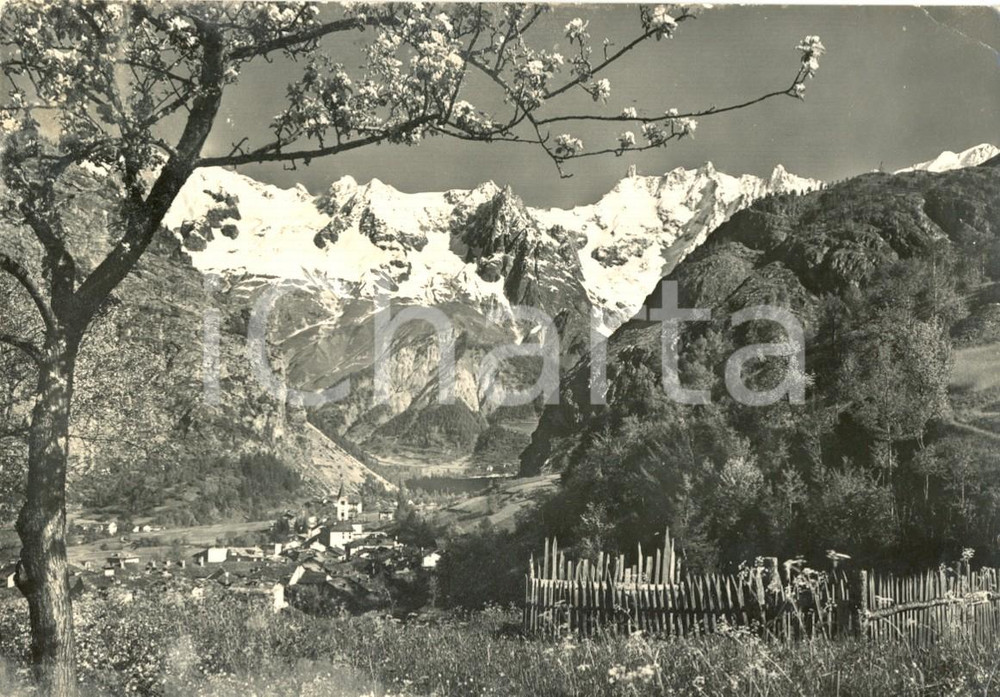 Cartolina originale da collezione 1955 COURMAYEUR AO Panorama del paese e del MONTE BIANCO innevato FG VG 1