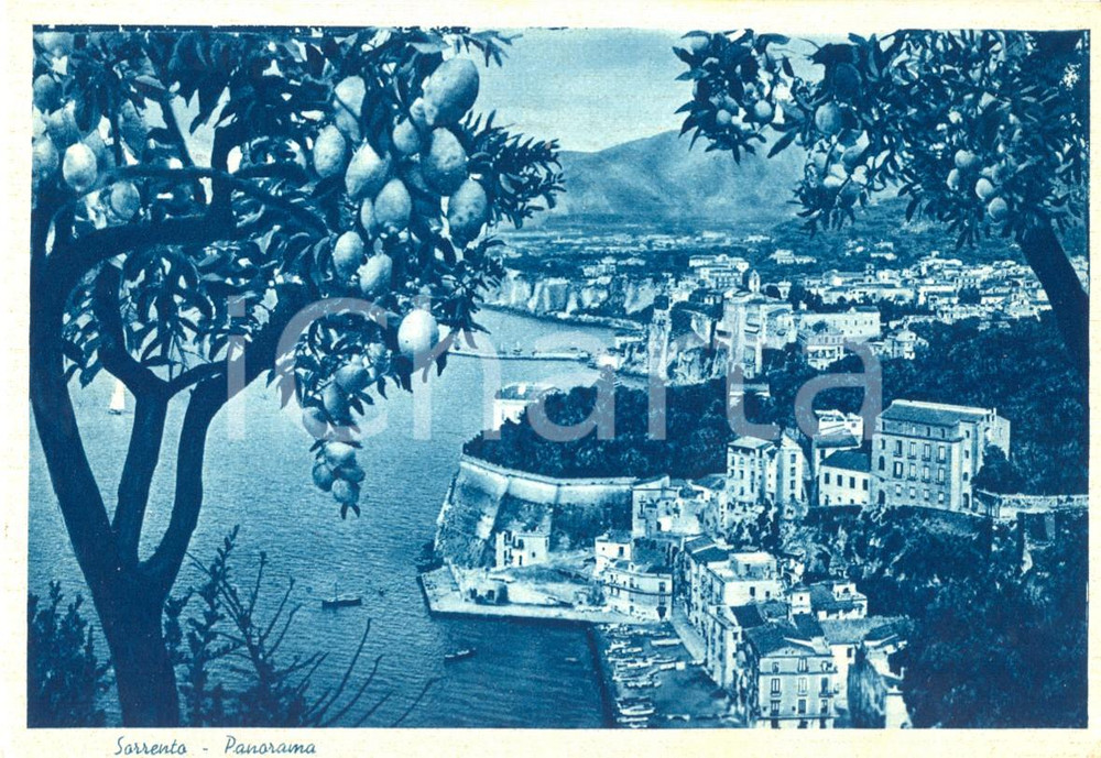 Cartolina originale da collezione 1952 SORRENTO (NA) Panorama del golfo con alberi di limoni *FG VG 1