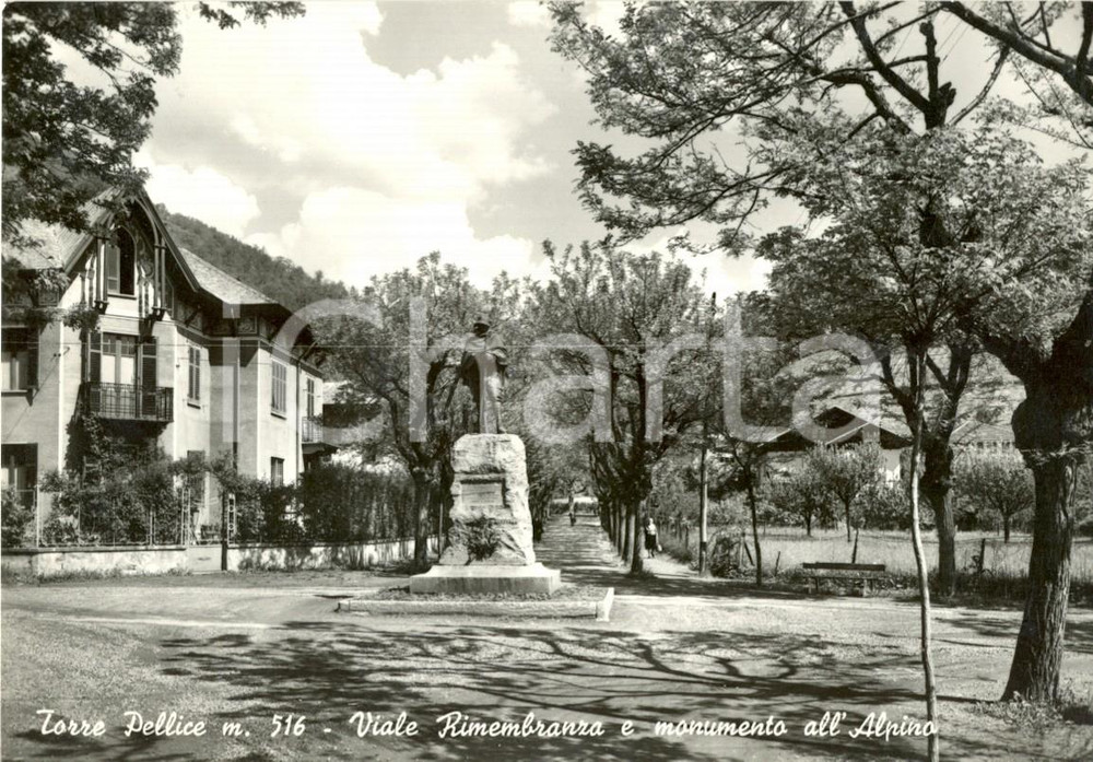 Cartolina originale da collezione 1964 TORRE PELLICE (TO) Veduta VIALE RIMEMBRANZA e Monumento all'ALPINO *FG VG 1