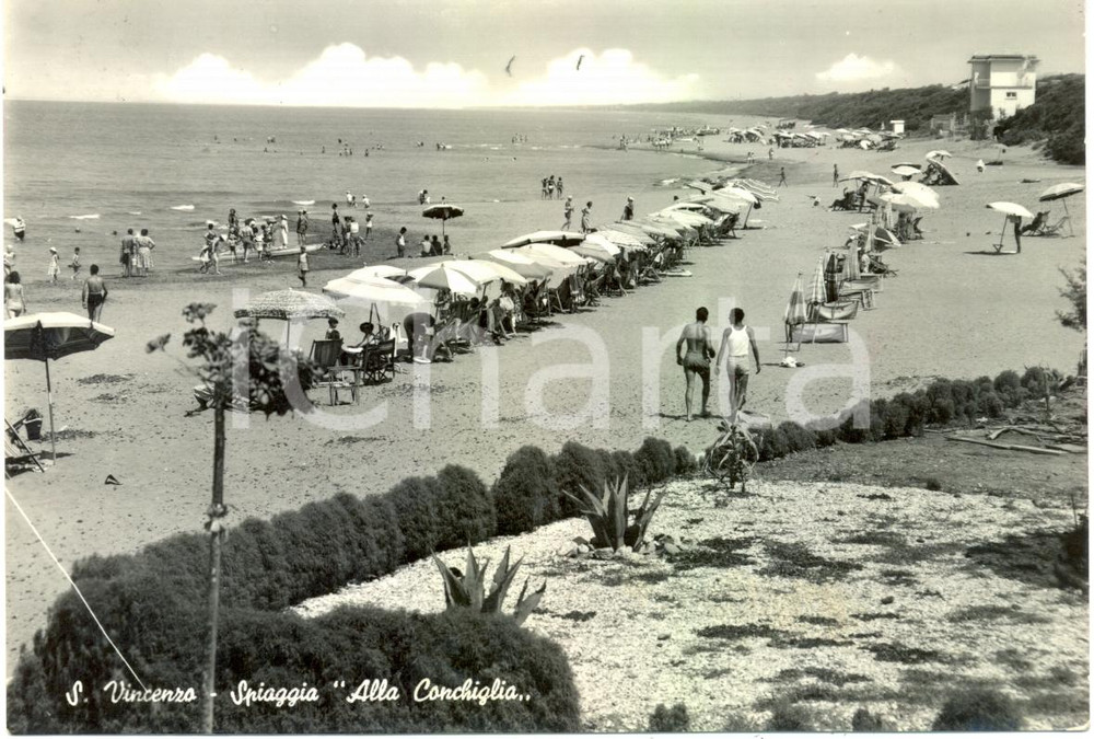 Cartolina originale da collezione 1958 SAN VINCENZO LI Bagnanti in spiaggia ALLA CONCHIGLIA Cartolina ANIMATA 1