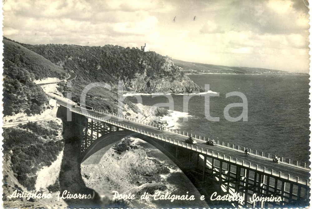 Cartolina originale da collezione 1952 LIVORNO Panorama ponte CALIGNAIA castello SONNINO ad ANTIGNANO FG VG 1