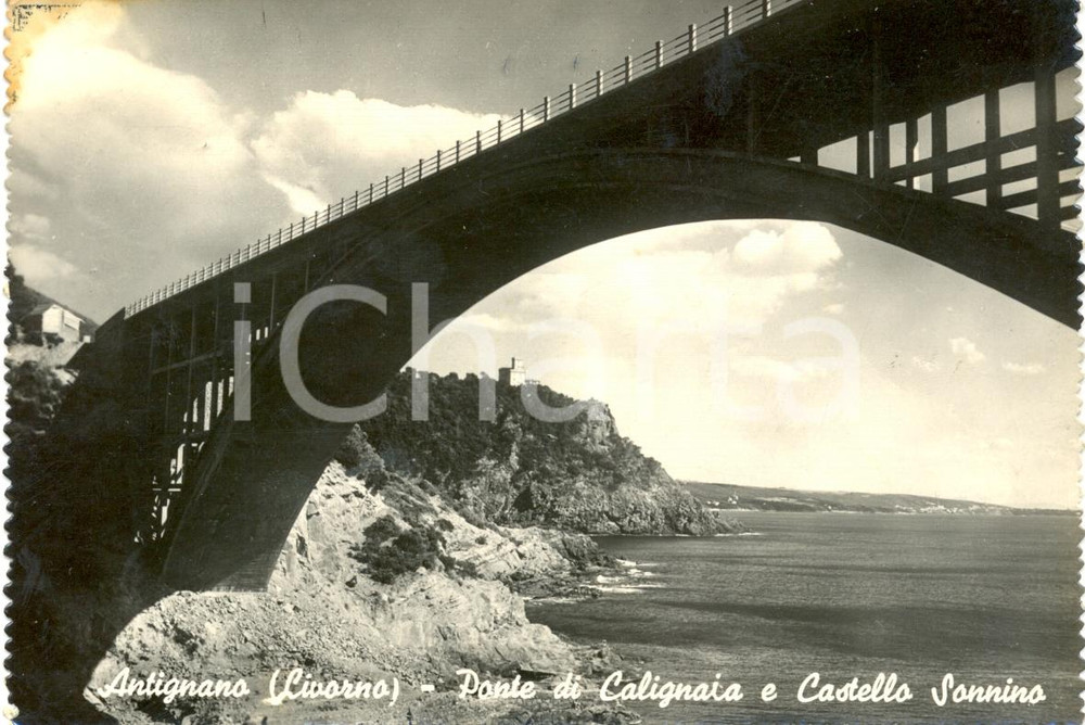Cartolina originale da collezione 1952 LIVORNO Ponte di CALIGNAIA e castello SONNINO a ANTIGNANO  *Cartolina FG VG 1