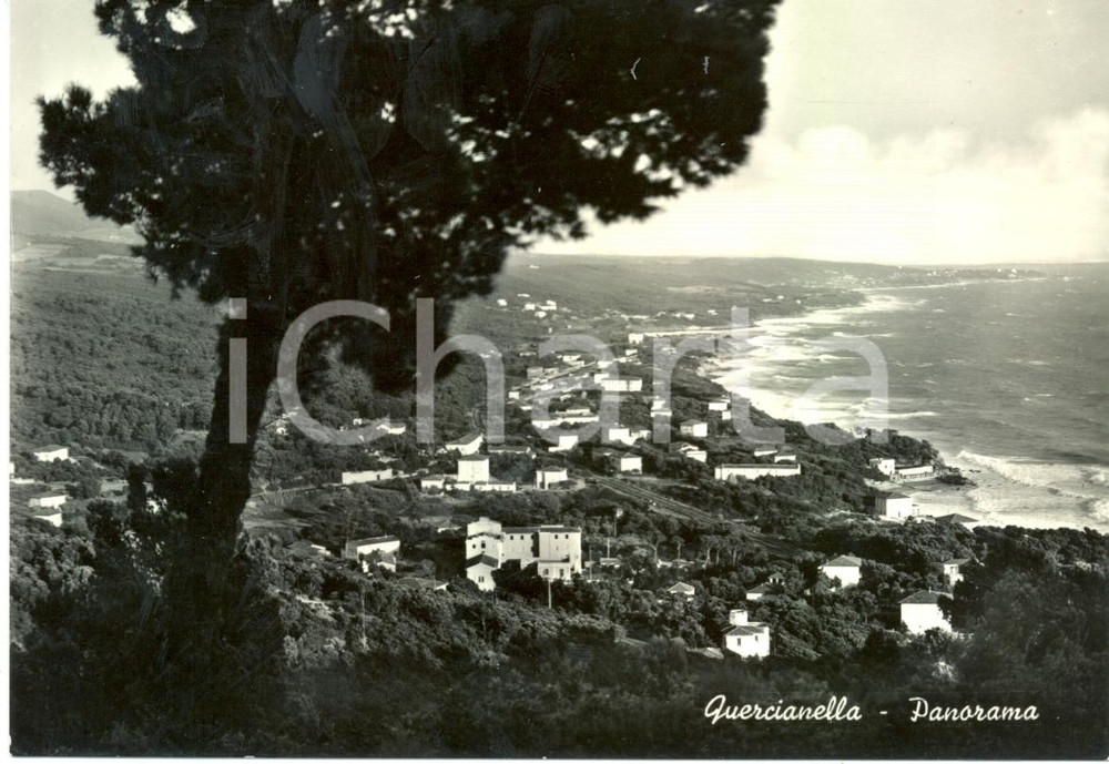 Cartolina originale da collezione 1959 LIVORNO Veduta panoramica della frazione QUERCIANELLA *Cartolina FG VG 1