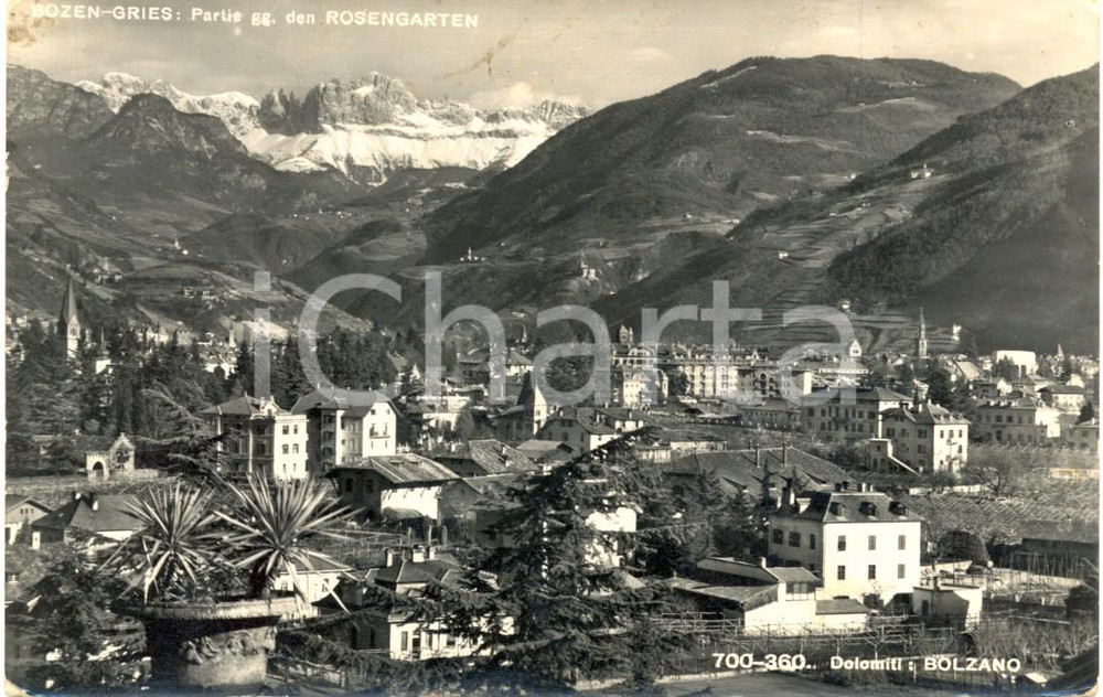 Cartolina originale da collezione 1940 ca BOZEN - GRIES Rosengarten Panorama DOLOMITI *Cartolina FP VG 1