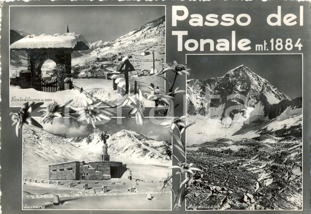 Cartolina originale da collezione 1953 VERMIGLIO TN Vedutine PASSO TONALE  PONTEDILEGNO Cartolina postale FG 1