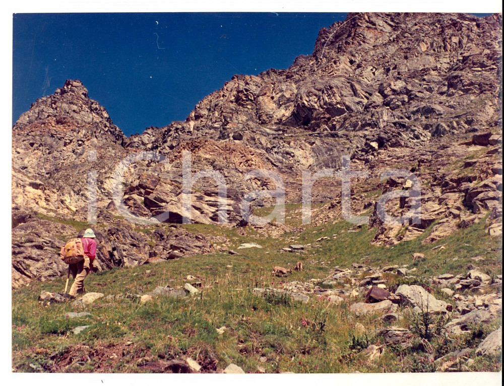 Fotografia d epoca originale 1970 ca AREA TORINESE Escursionista in salita Foto artistica HAUS a colori 1