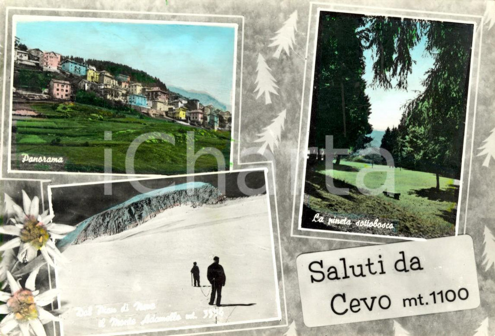 Cartolina originale da collezione 1964 CEVO (BS) Vedutine del paese e del Monte ADAMELLO *Cartolina ANIMATA FG VG 1