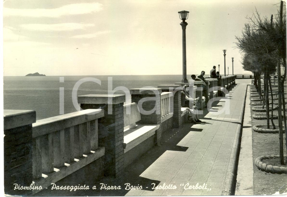 Cartolina originale da collezione 1954 PIOMBINO (LI) Scorcio passeggiata piazza BOVIO isolotto CERBOLI *Cartolina 1