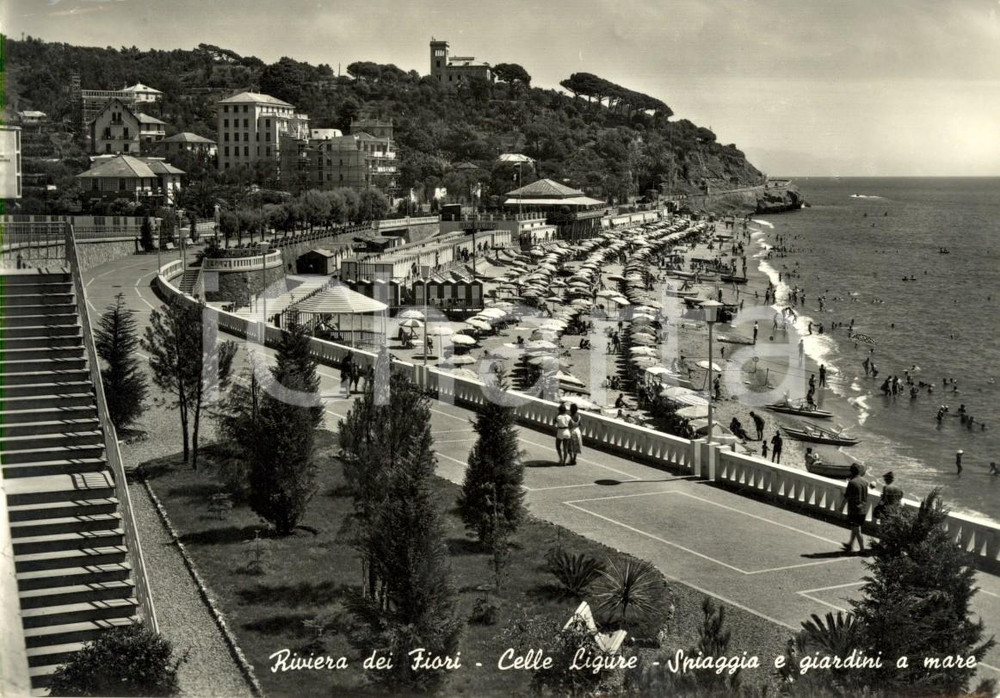 Cartolina originale da collezione 1956 CELLE LIGURE (SV) Spiaggia e giardini sul mare *Cartolina ANIMATA FG VG 1