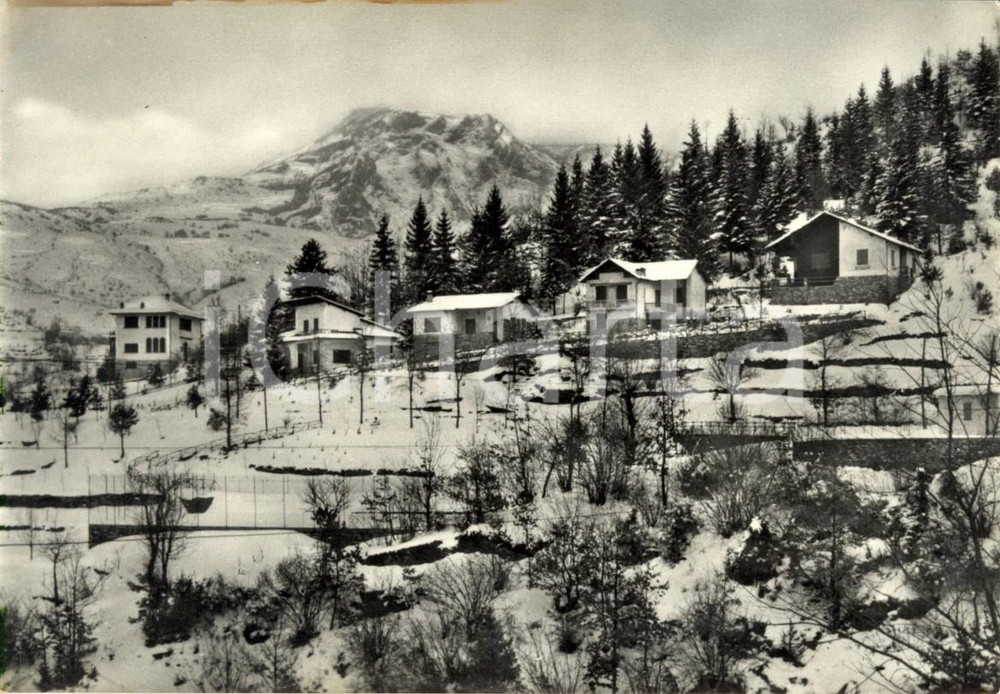 Cartolina originale da collezione 1950 c SANTO STEFANO D'AVETO (GE) Frazione VILLAGGIO AL PINO e Monte GROPPOROSSO 1