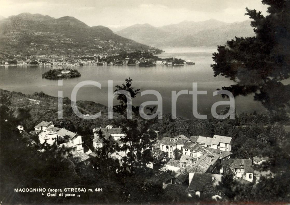 Cartolina originale da collezione 1954 STRESA (VB) Panorama frazione MAGOGNINO sul Lago MAGGIORE *Cartolina FG VG 1