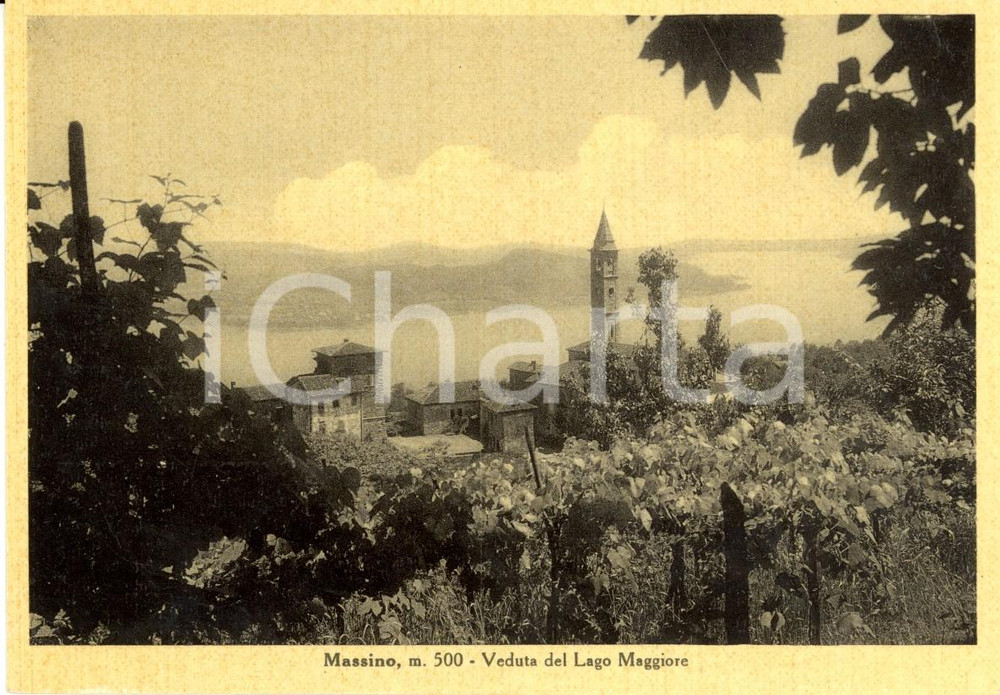 Cartolina originale da collezione 1940 ca MASSINO VISCONTI (NO) Veduta paese e Lago MAGGIORE *Cartolina FG NV 1