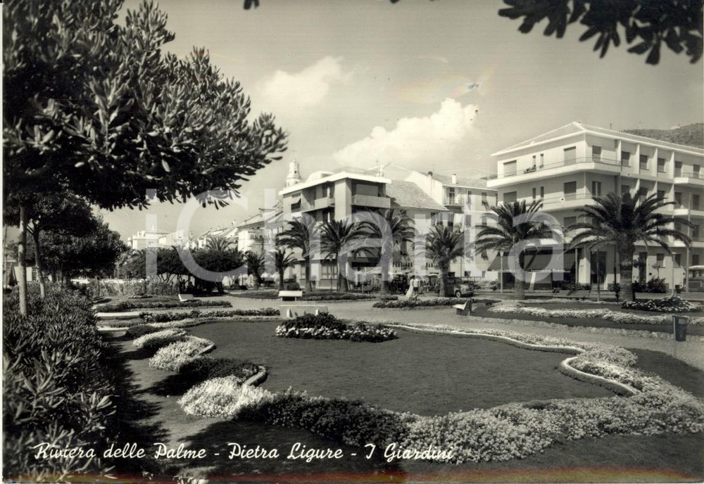 Cartolina originale da collezione 1958 PIETRA LIGURE SV  Riviera PALME Veduta dei giardini Cartolina FG VG 1