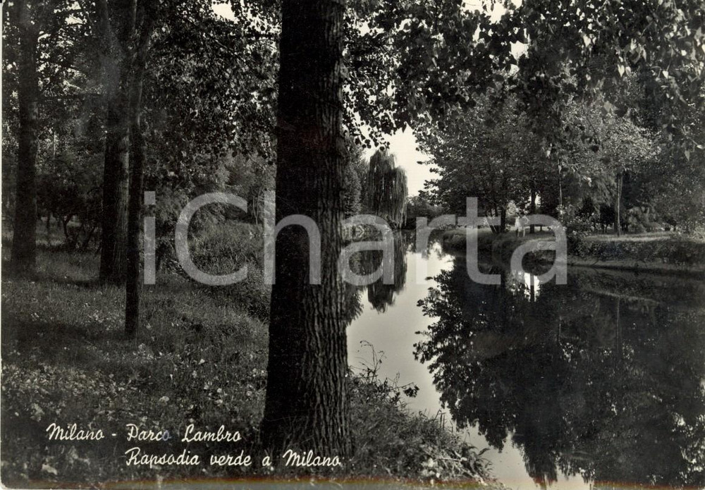 Cartolina originale da collezione 1960 ca MILANO Scorcio pittoresco del Parco LAMBRO Cartolina postale FG NV 1